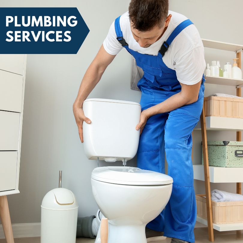 Plumbing Company in Sutter, IL